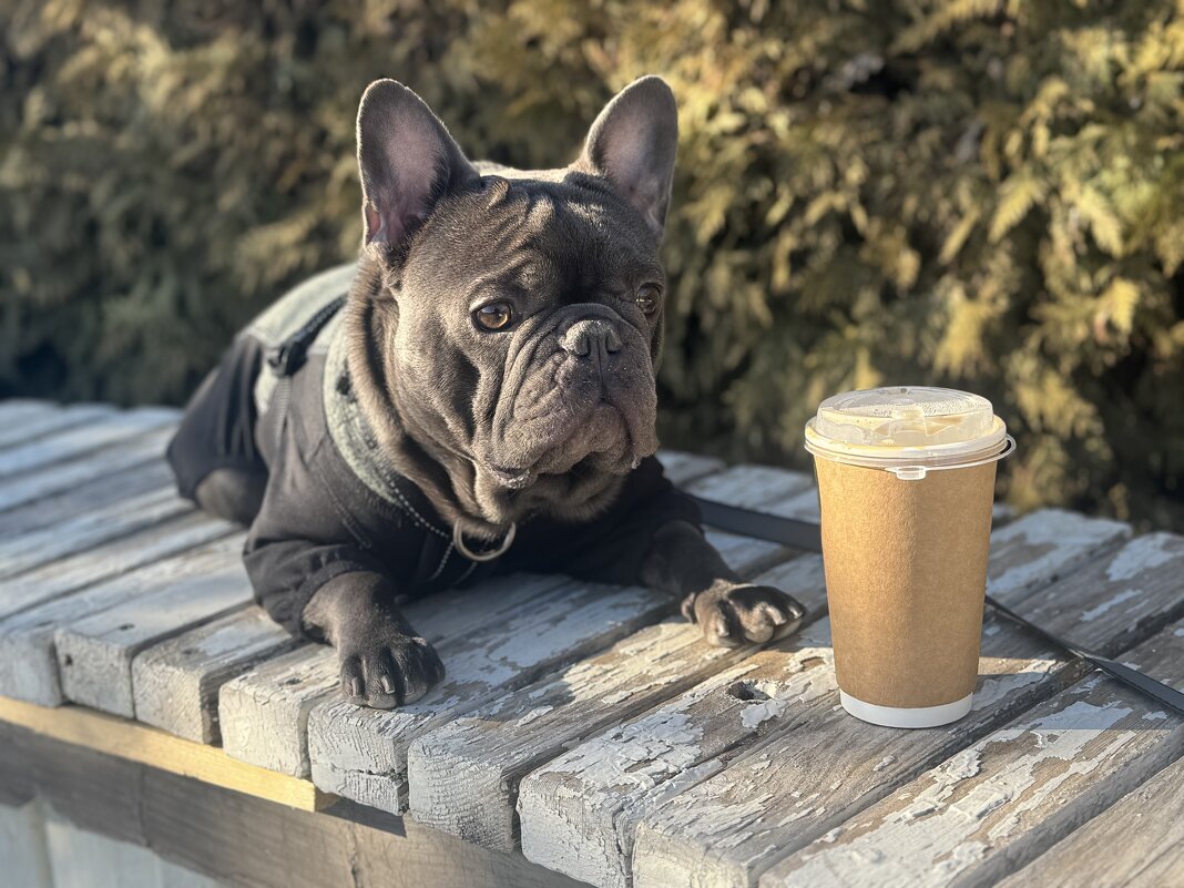 Сезон открыт ✌️☀️ - Анна Камс Сезон открыт ✌️☀️ - Анна Камс