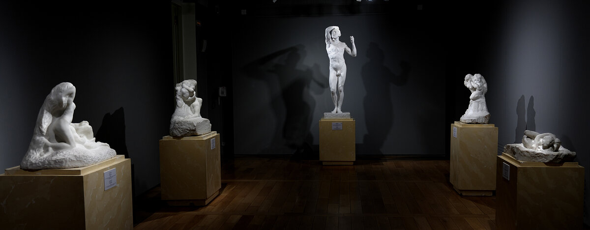 Эрмитаж Роден - ВЛАДИМИР 