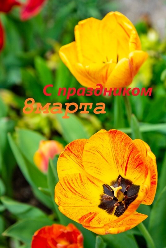 C праздником !!!! - Sergej C праздником !!!! - Sergej