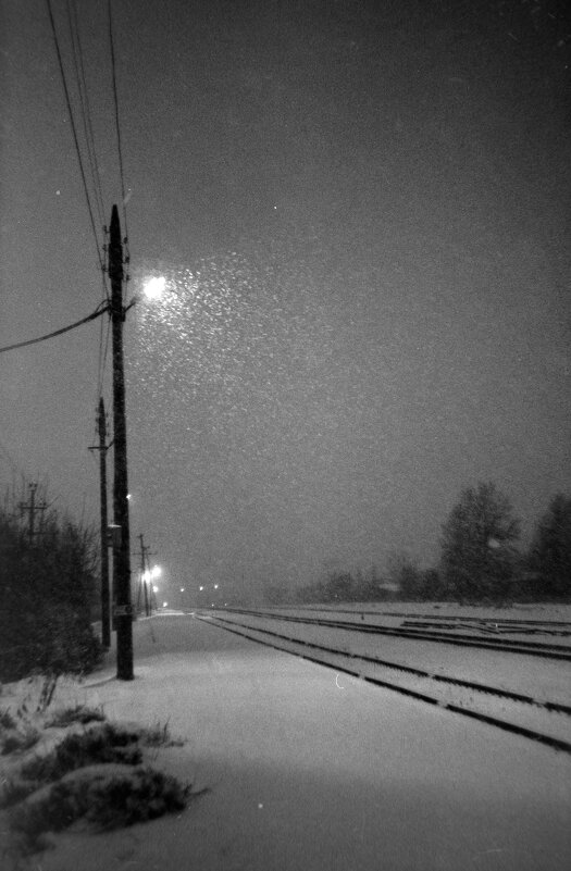 Вечерний снег - Олег Зоркий Вечерний снег - Олег Зоркий