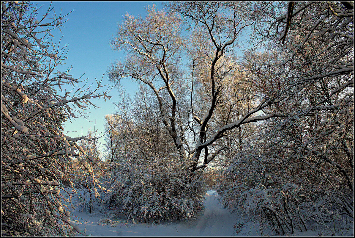 Зимняя дорога - Aleksandr Gal