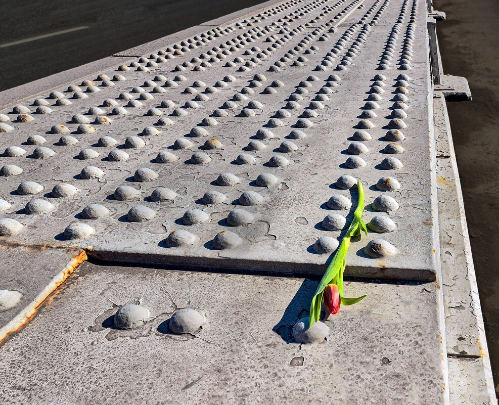 С праздником! - Eugene *