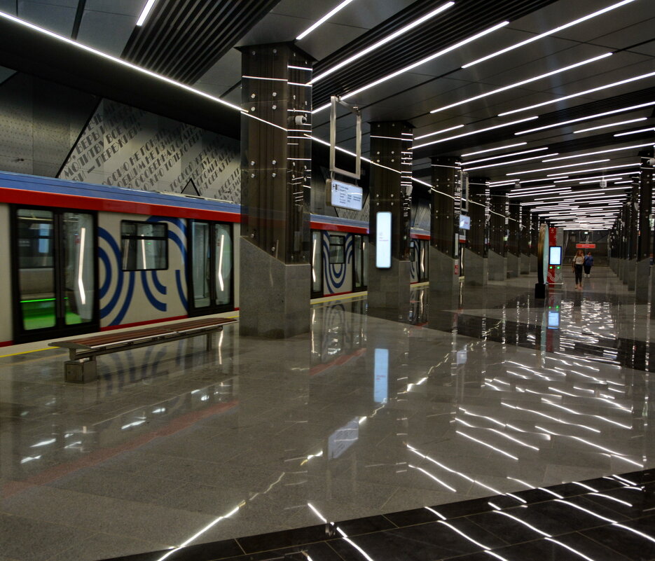 Станция метро Тютчевская - Анастасия Смирнова