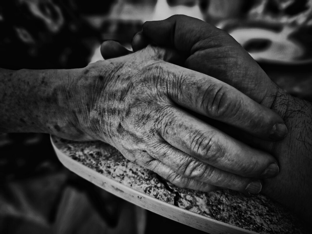 ***** - Алексей Архипов