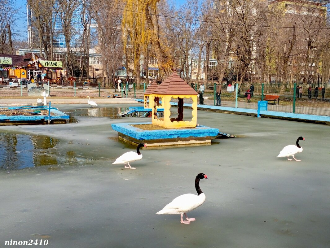 Ростов-на-Дону - Нина Бутко