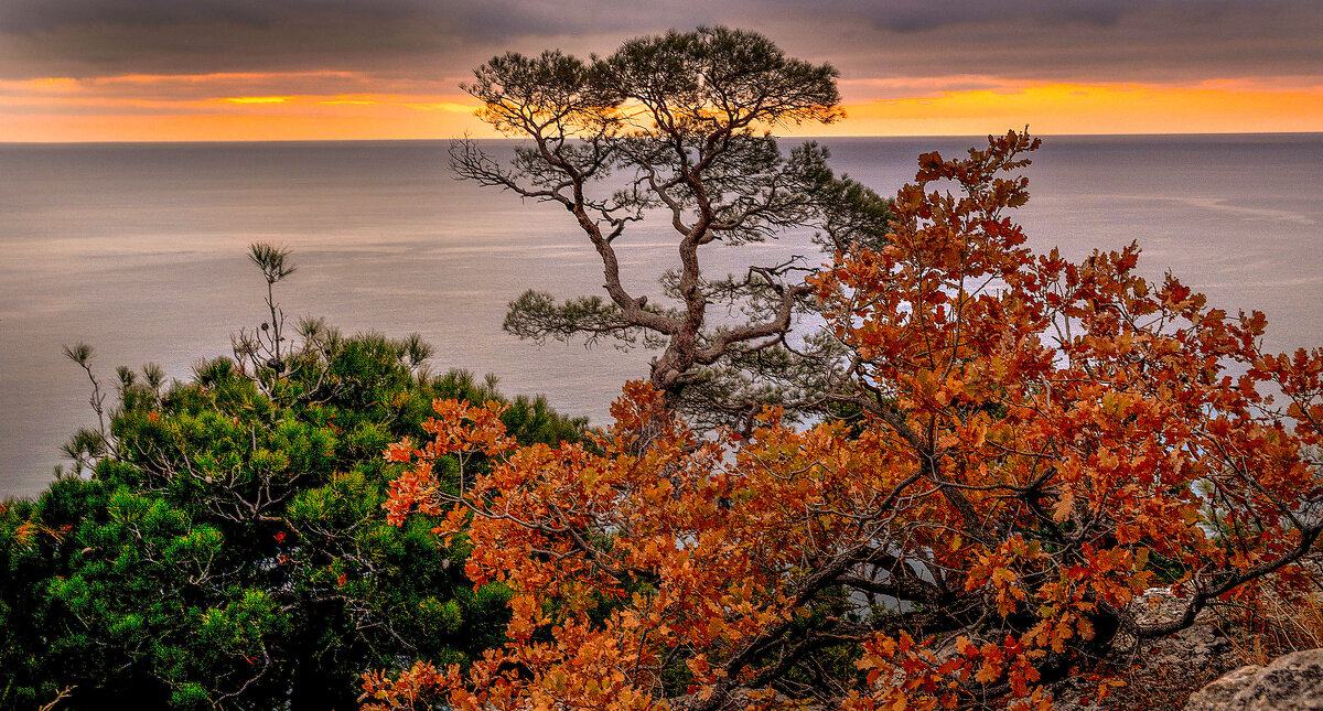 Рассвет. - Сергей Воротников Рассвет. - Сергей Воротников