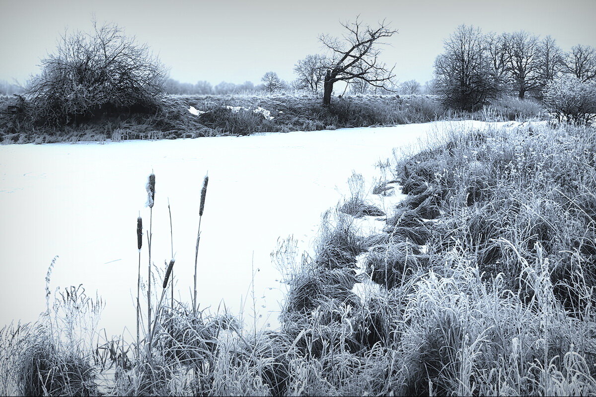 Этюд в пойме Клязьмы ... - Владимир Шошин Этюд в пойме Клязьмы ... - Владимир Шошин