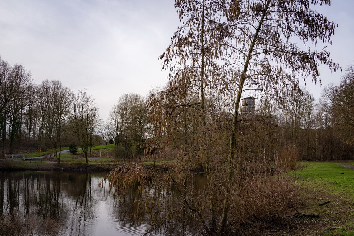 Пейзаж с ольхой... - Николай Гирш
