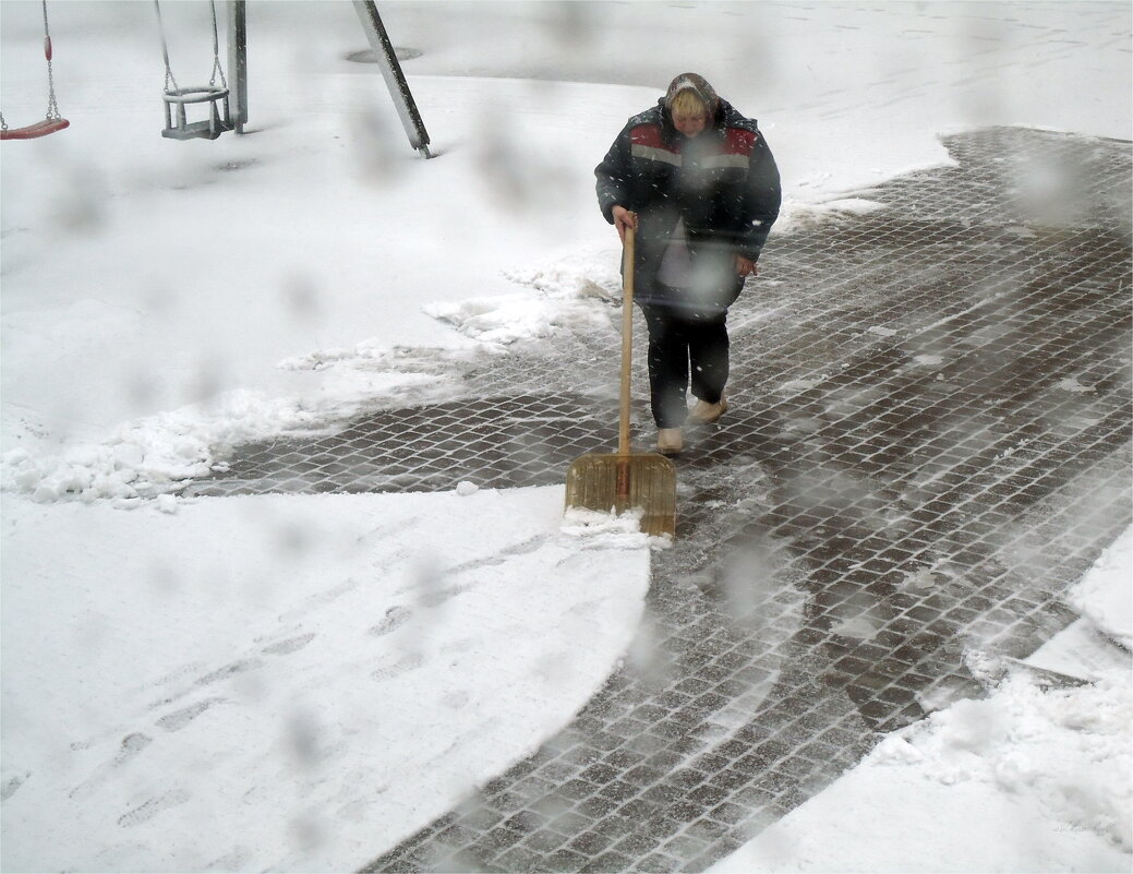 Tombe la neige ... - sv.kaschuk 