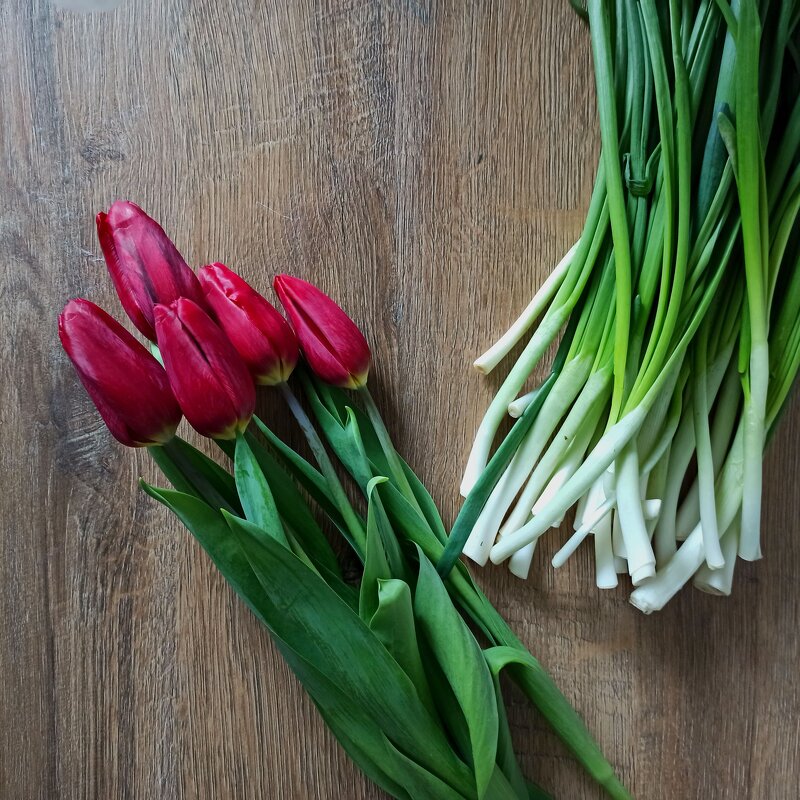 Цинк - Павел Кореньков Цинк - Павел Кореньков