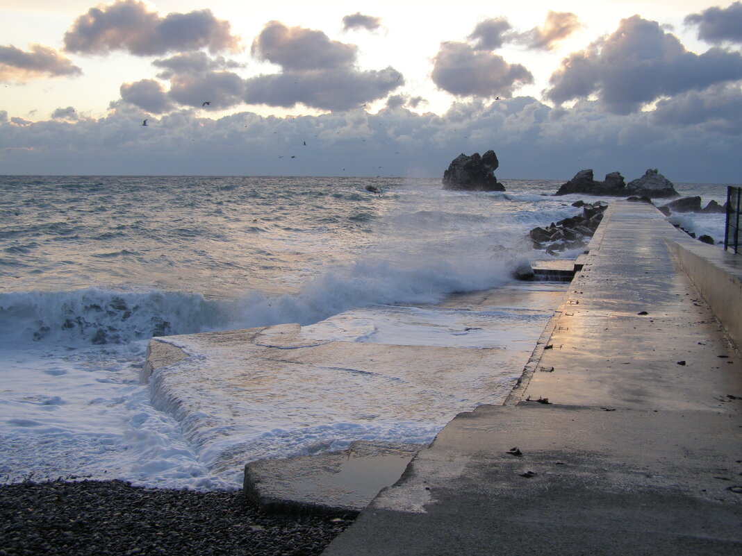 Рассвет Шторм - Анна Воробьева