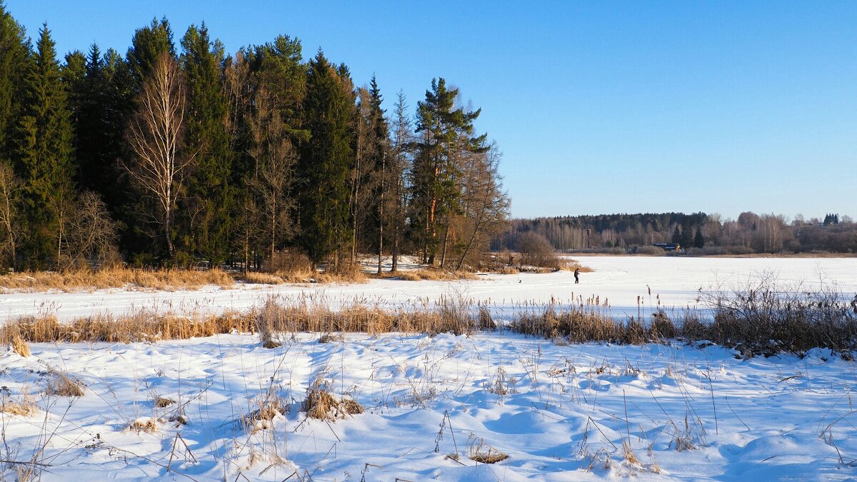 Смоленщина в феврале - Милешкин Владимир Алексеевич 