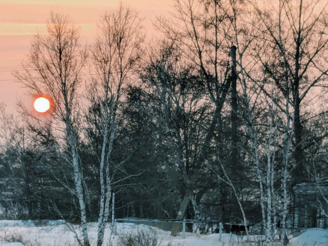 Тишина - Георгиевич 