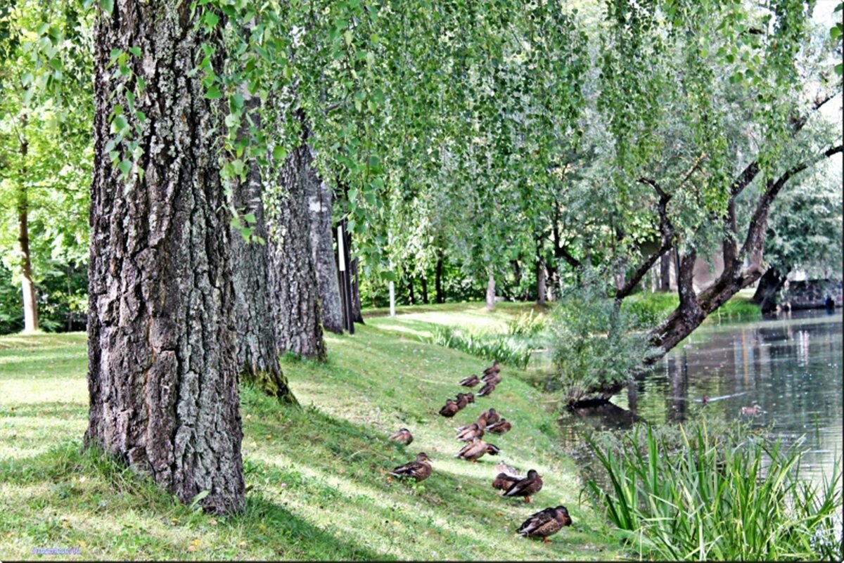 сигулда - марта Камушкина