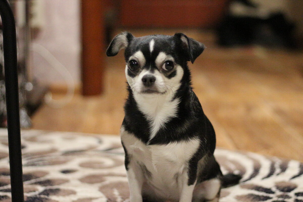 S - Андрей Л. В.