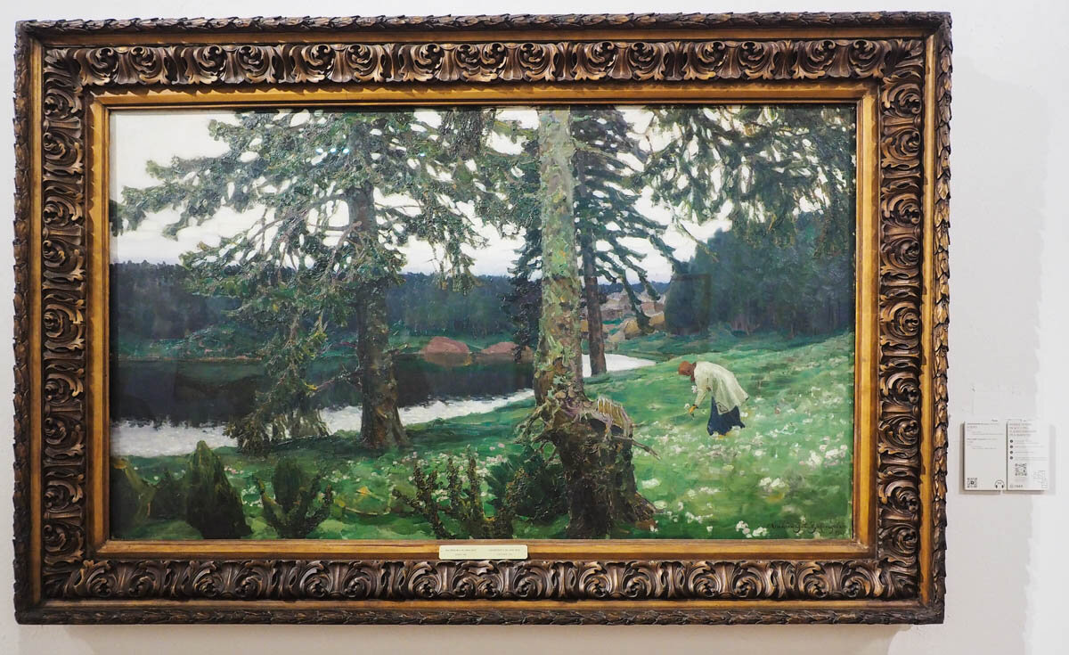 ВАСНЕЦОВ_ОЗЕРО - Сергей Янович Микк