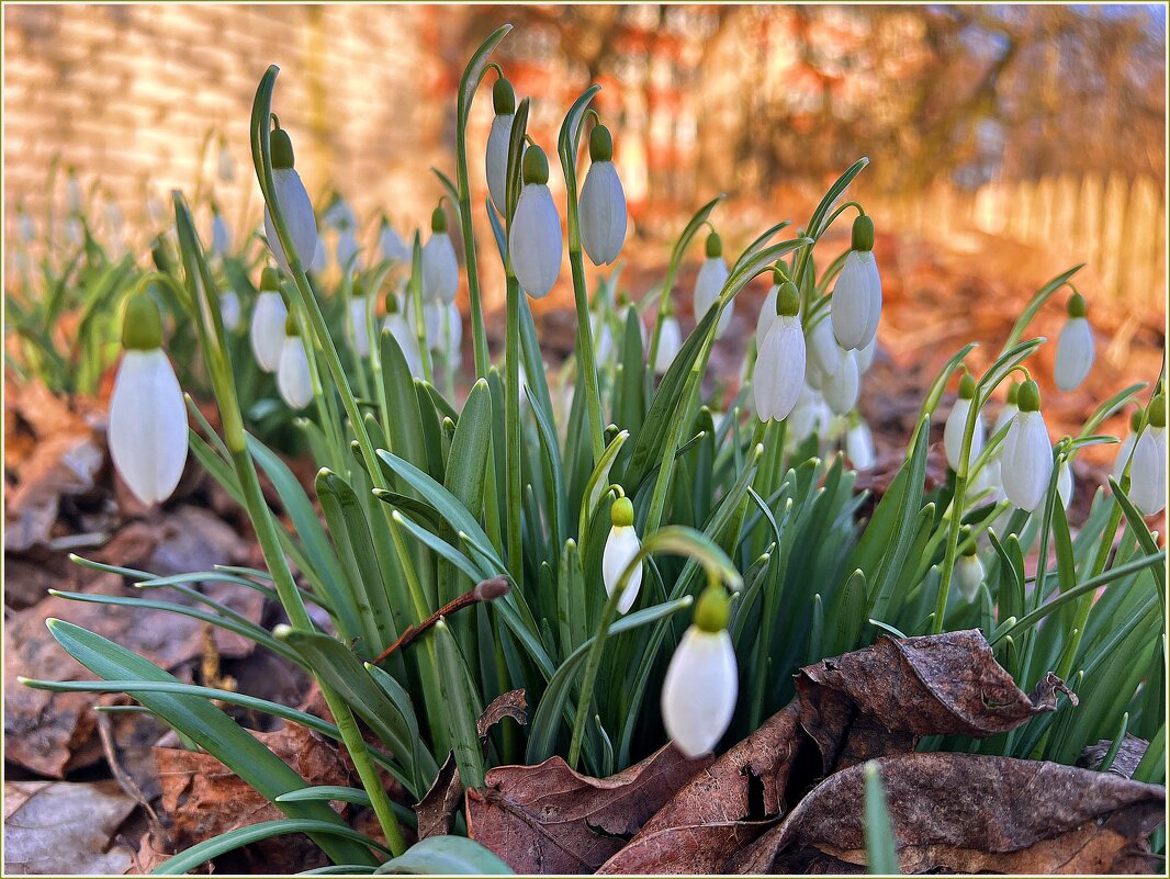 ******** - Валерия Комова ******** - Валерия Комова