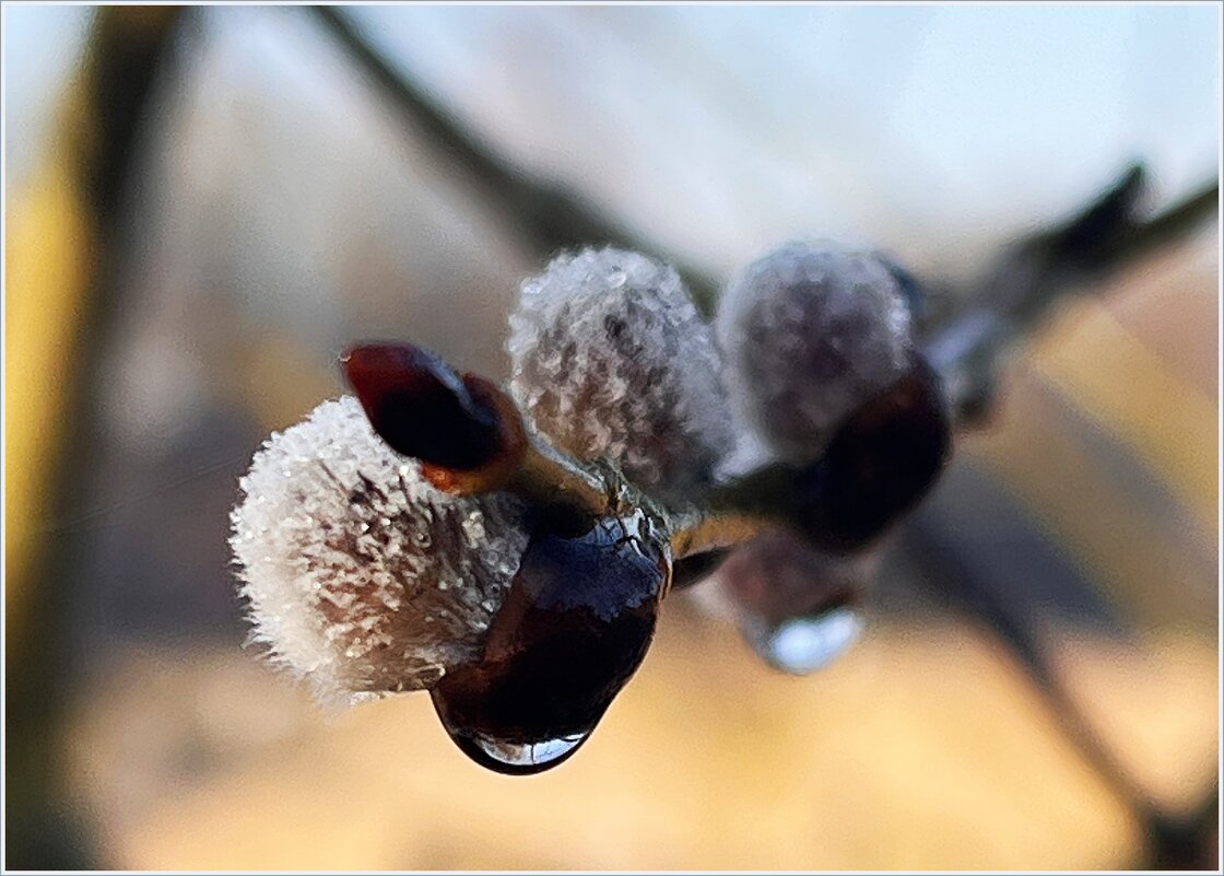 ***** - Валерия Комова ***** - Валерия Комова