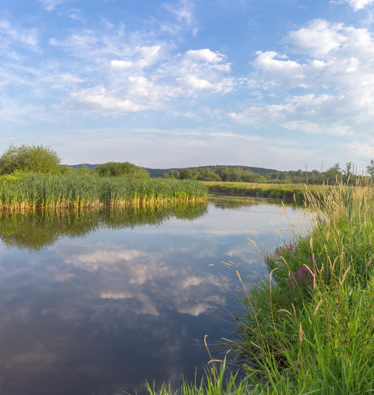 Летнее утро на реке Миасс. - Алексей Трухин