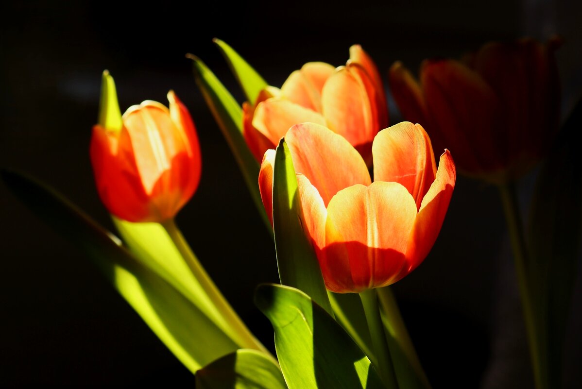 Доброе утро - Юрий. Шмаков Доброе утро - Юрий. Шмаков