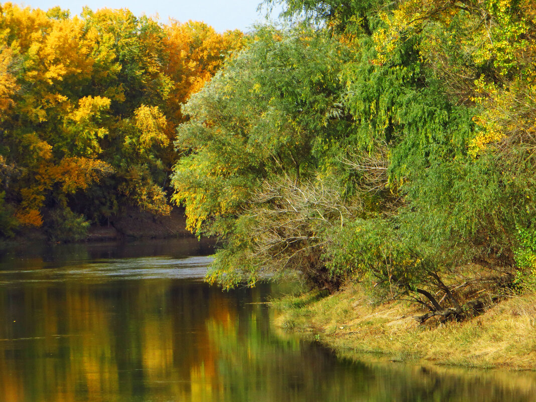 Днестр & осень - Коля Лукашов Днестр & осень - Коля Лукашов