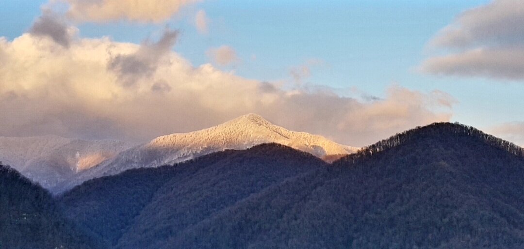 СОЛОХ АУЛ СОЧИ - Tata Wolf