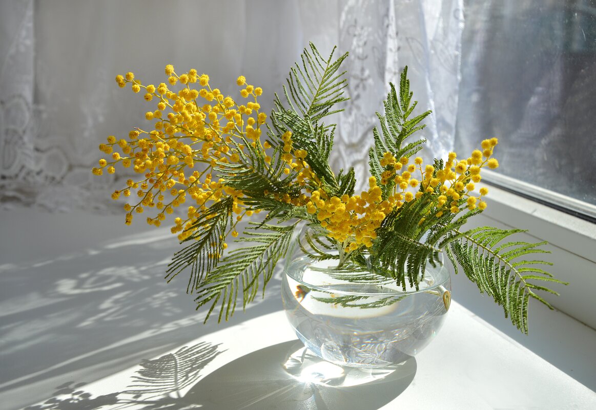 *** - Надежда Куркина