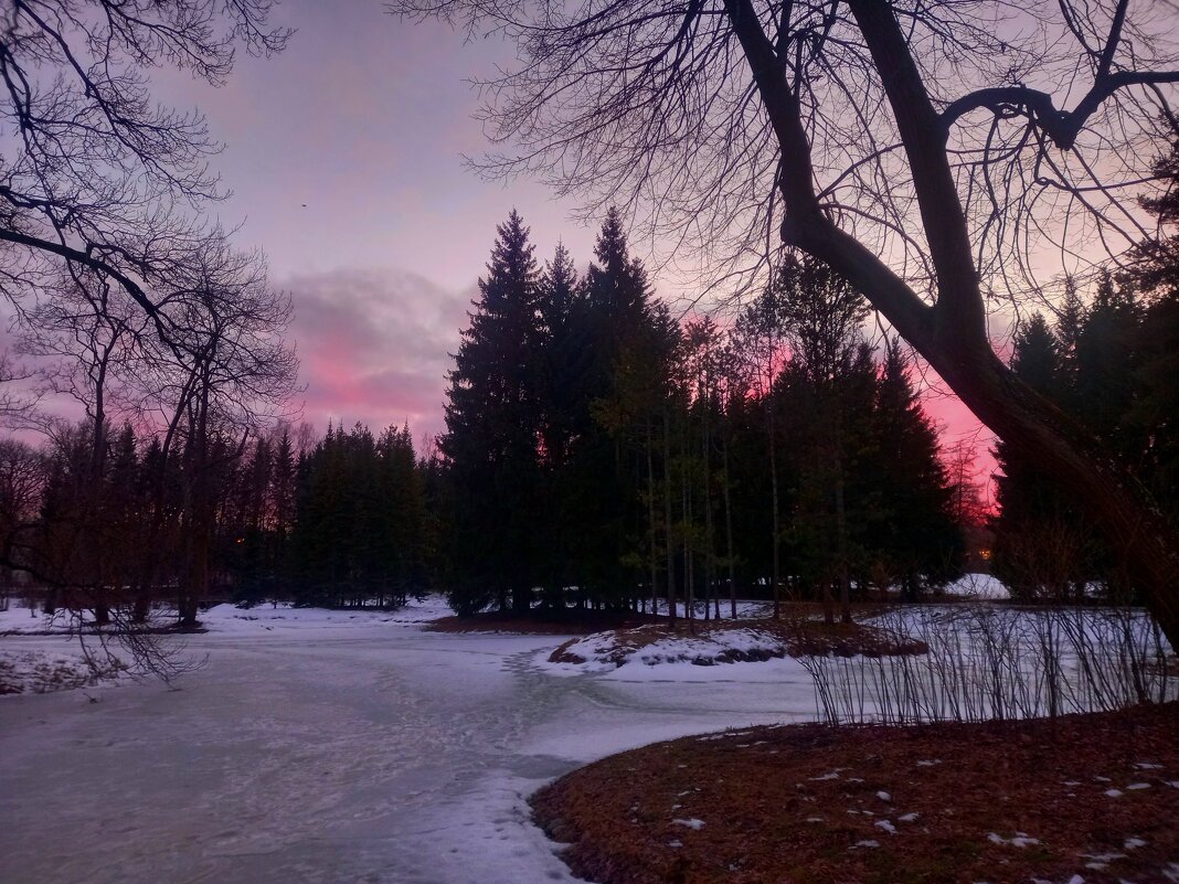 Закат - Сапсан 