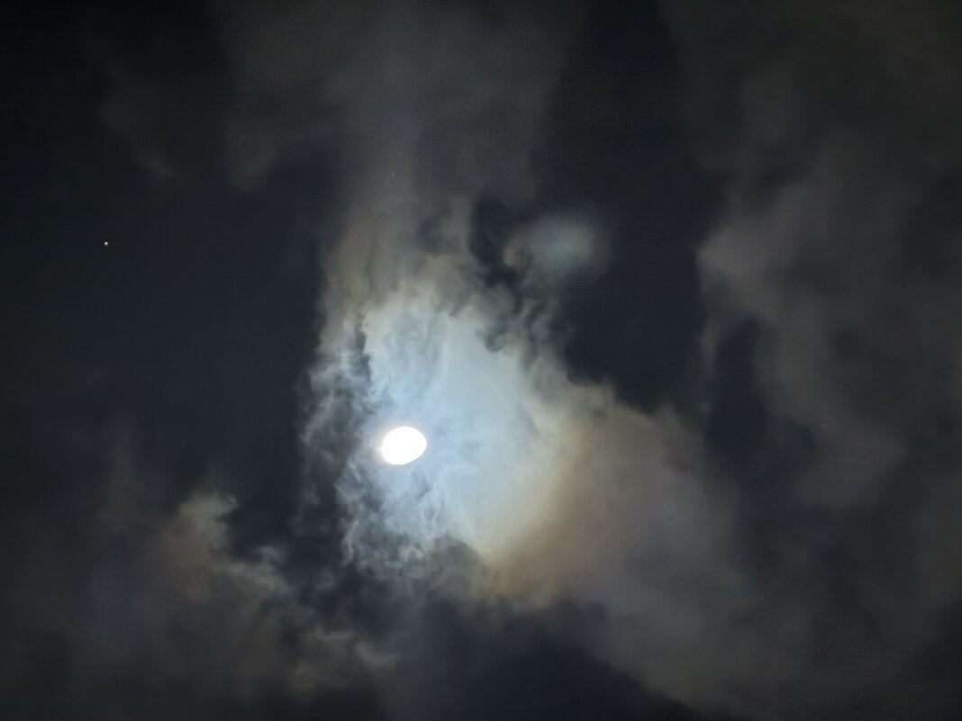 Красота вернулаааааась! - Анна Камс