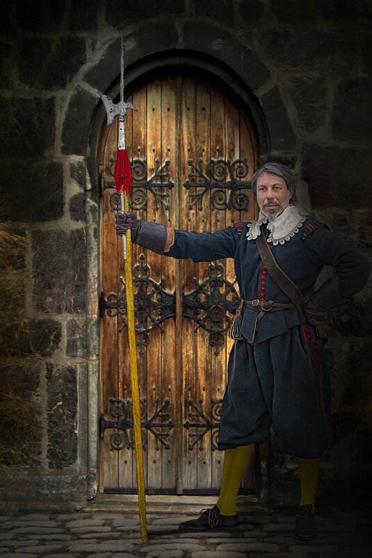 Стражник - Виктор Седов Стражник - Виктор Седов