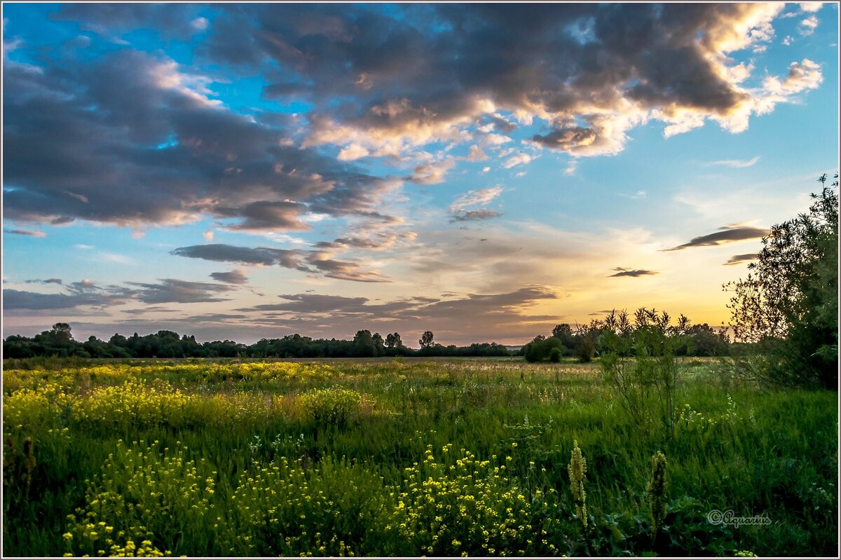 Про летний вечер - Aquarius - Сергей Про летний вечер - Aquarius - Сергей