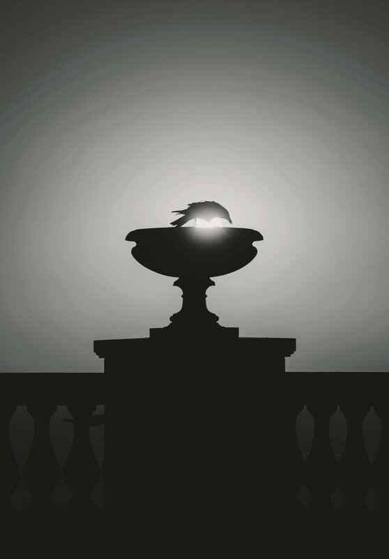 Священный Боспорский грач. - Анатолий Щербак