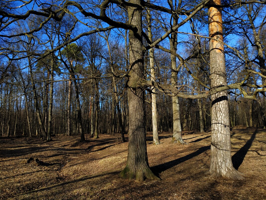 Март похожий на апрель - Андрей Лукьянов Март похожий на апрель - Андрей Лукьянов