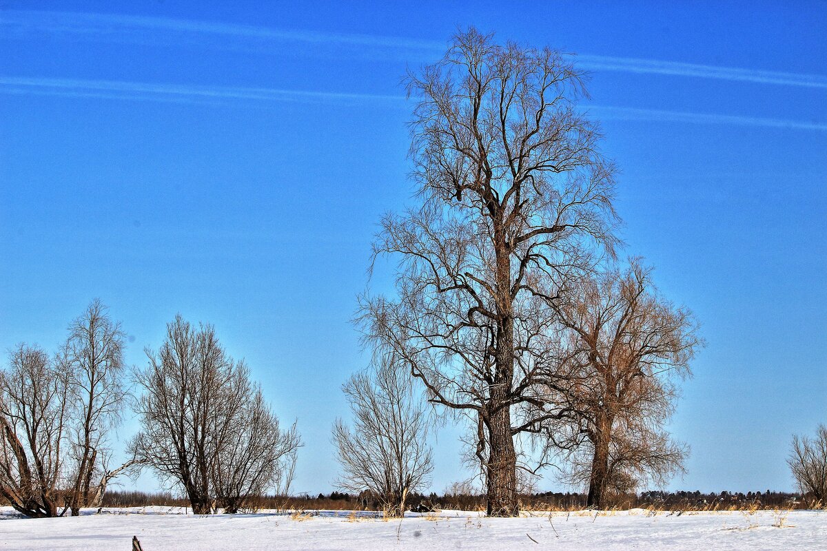 Март...Топопя у реки! - Владимир 