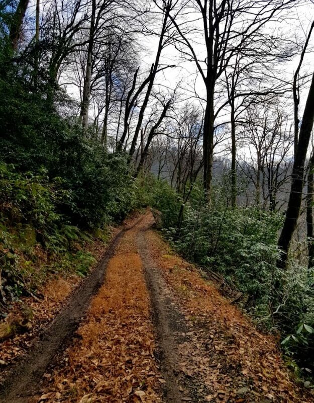 ОРЕХОВКА - Tata Wolf