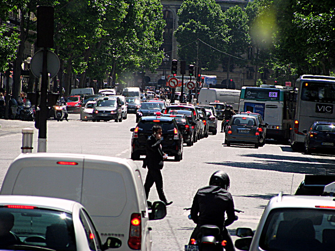 Париж. - Владимир Драгунский