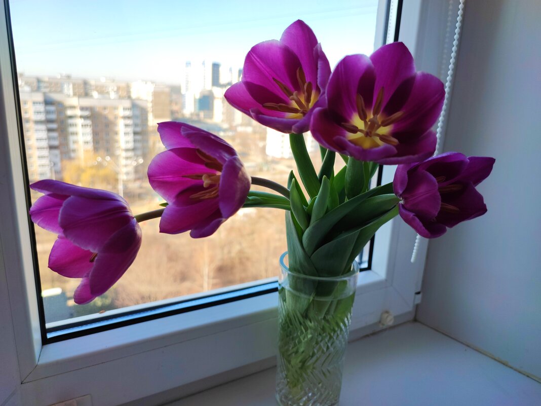 ,,, - Сергей Тимоновский