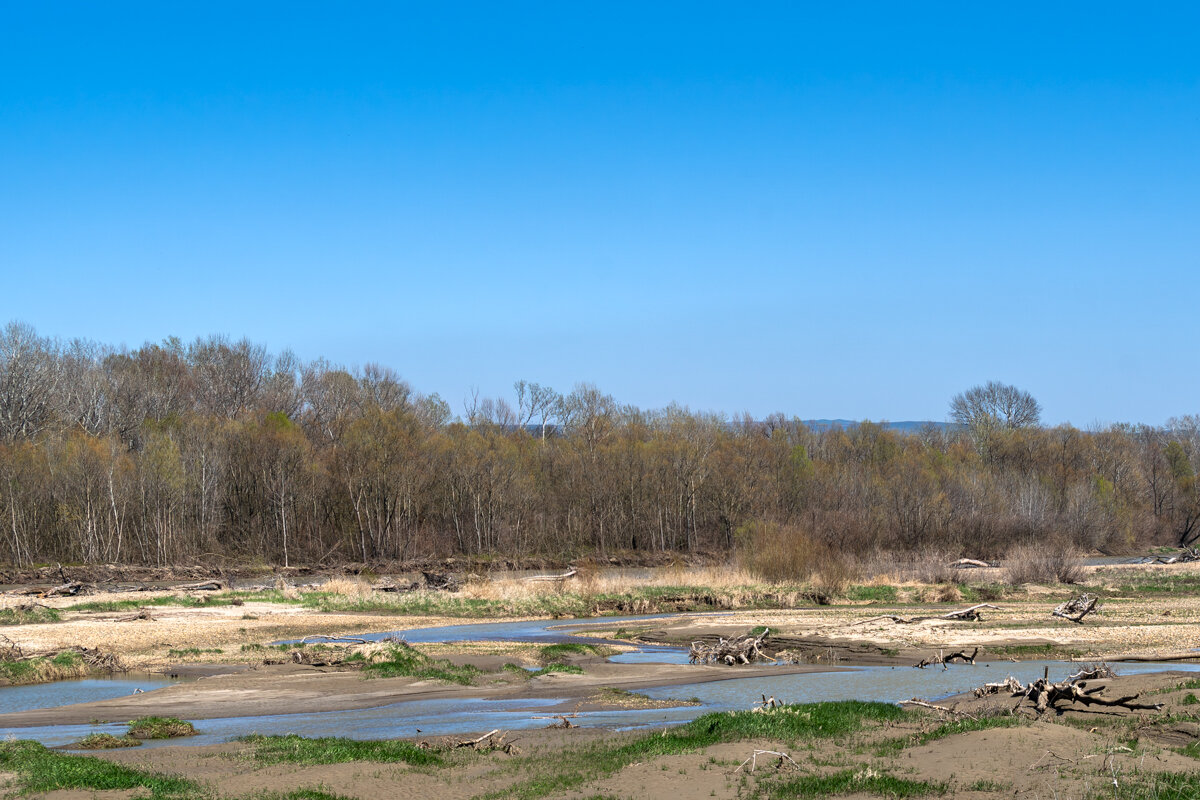 Река Кубань - Игорь Сикорский
