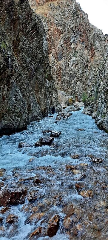 ГОРНАЯ ПРОГУЛКА. - Виктор Осипчук