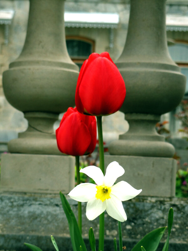 к празднику.... - Ольга к празднику.... - Ольга