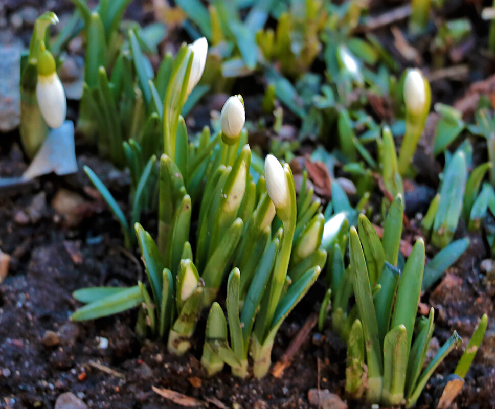 Самые первые... - Светлана Самые первые... - Светлана