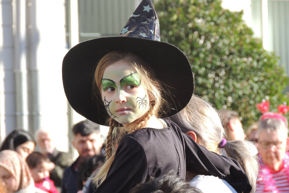 * - Алла Булашевская