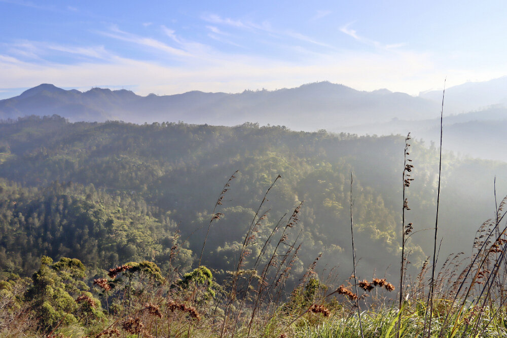 Горные пейзажи Шри-Ланки - Галина Ильясова