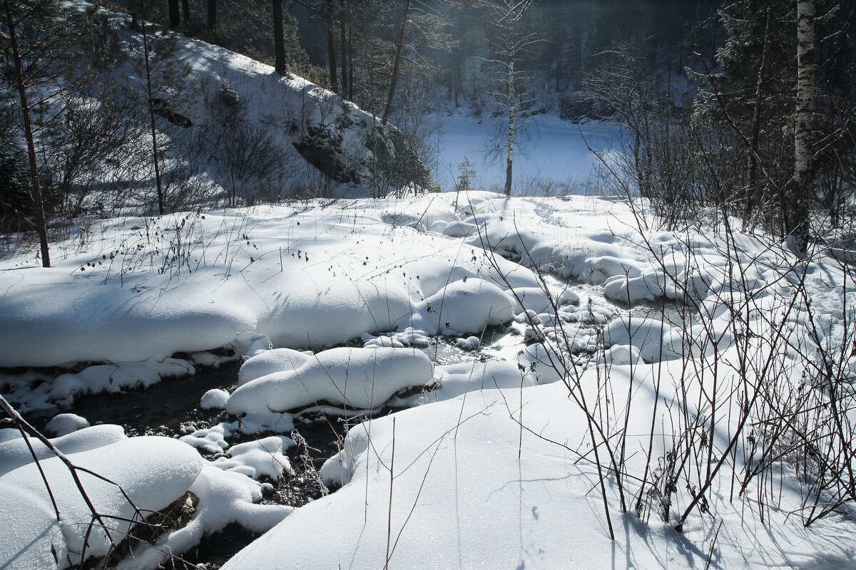 *** - Евгения Каравашкина