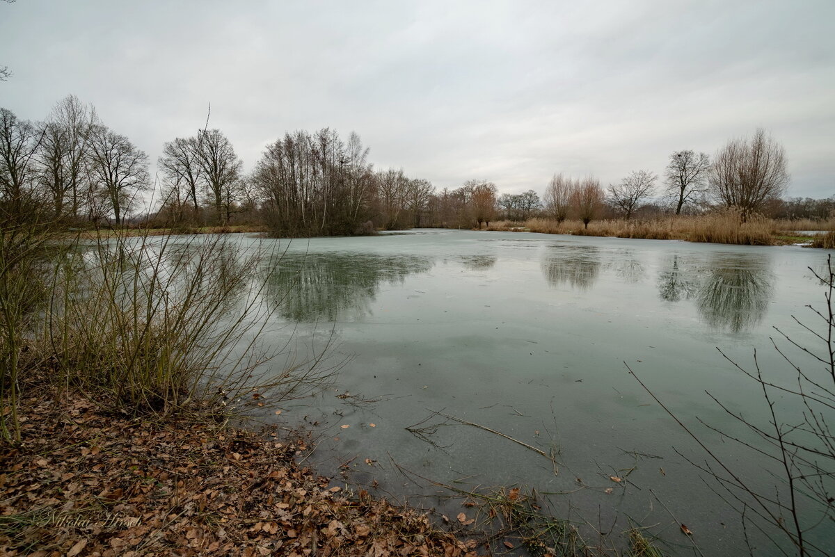 *** - Николай Гирш *** - Николай Гирш