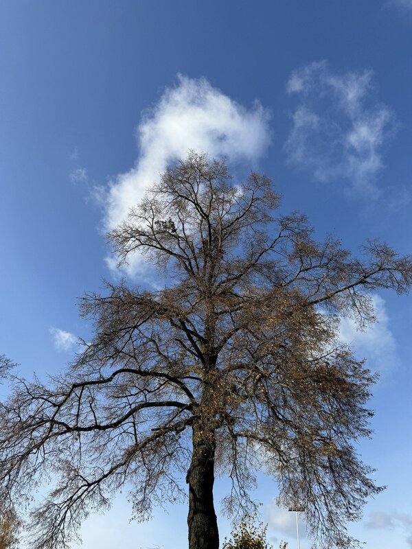 Осенний блюз - Ирина Картина