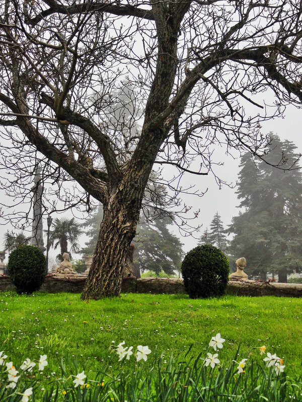 весеннее - Ольга 