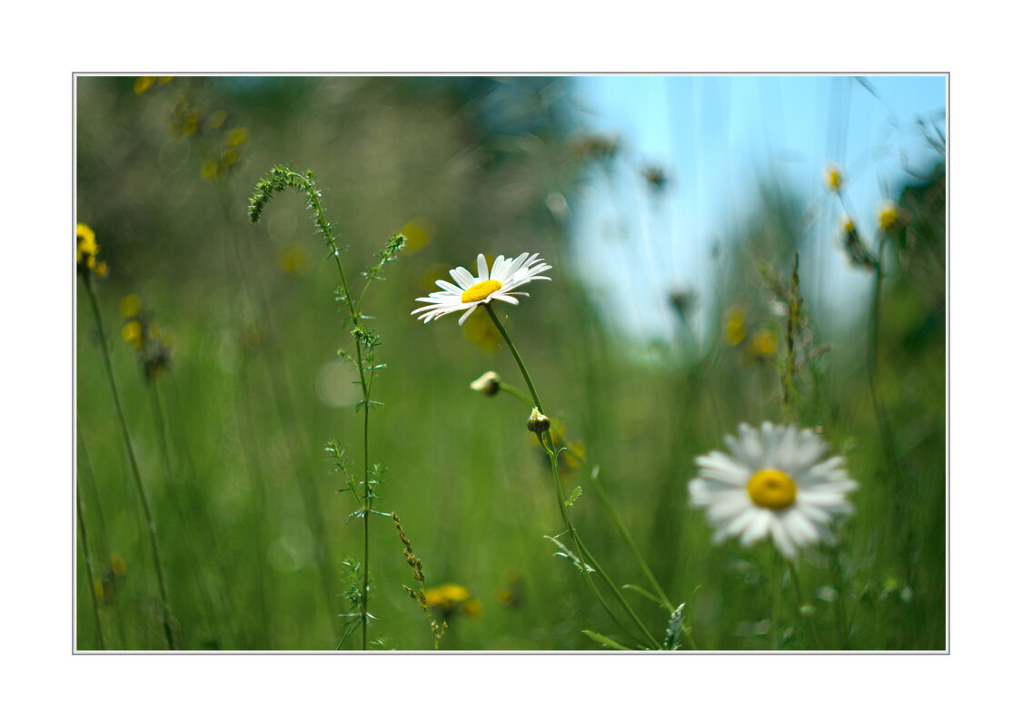 *** - Art __ *** - Art __