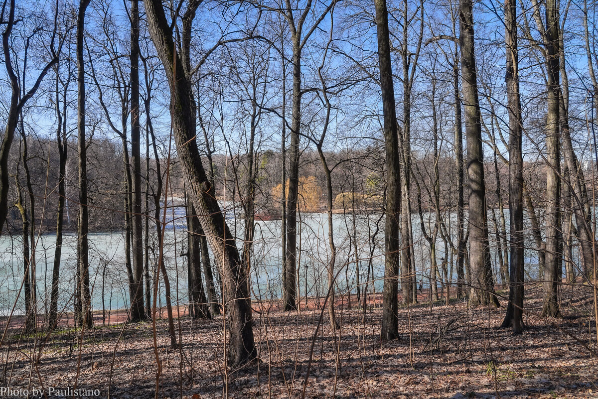Март в Царицыно... - Владимир Жданов