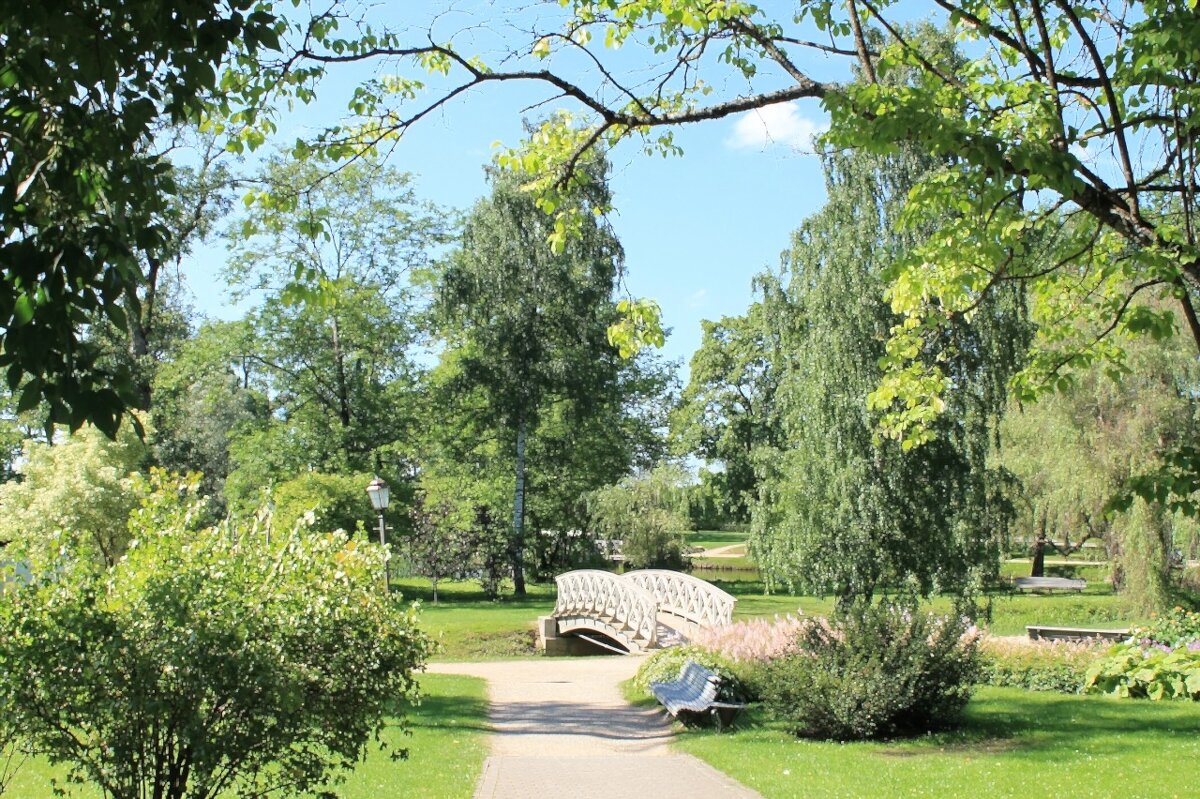 парк - марта Камушкина